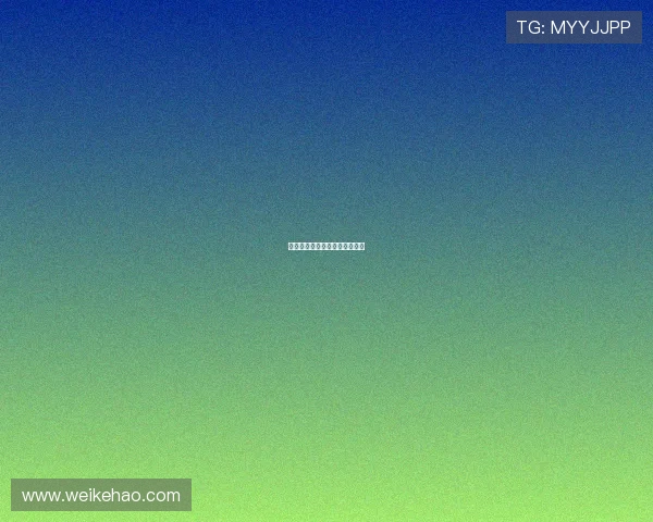 星锐赛名单官宣段睿骐偰李永炜